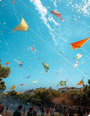 Festival Travel